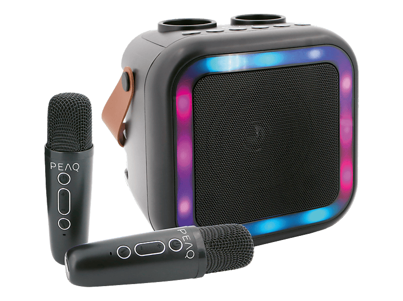 PEAQ PKM-100 Karaoke Machine Bluetooth-Lautsprecher mit 2 Mikrofonen, Schwarz