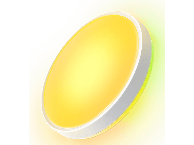 GOVEE Celling Light Pro 38 cm Deckenleuchte GBIC + WW