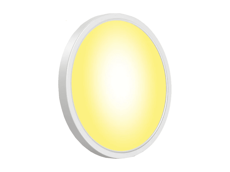 GOVEE Celling Light 30 cm Deckenleuchte RGBWW + RGBIC