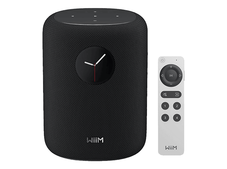 WIIM Sound Smart-Lautsprecher, 100W Schwarz