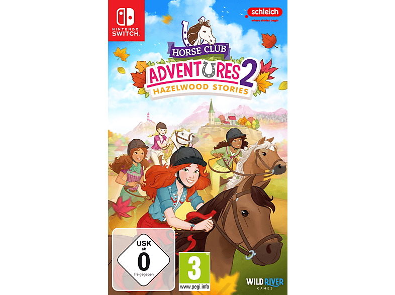 Spielesoftware 