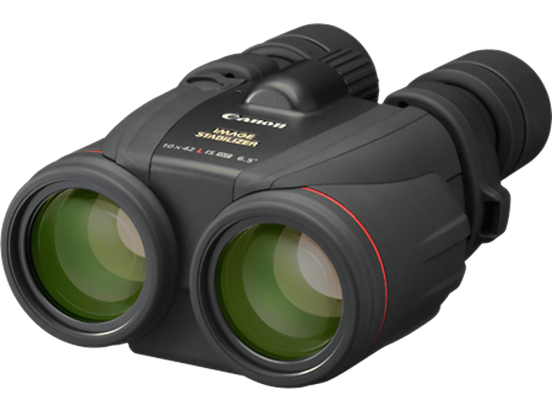 Canon Fernglas 10 x 42 mm Porro Schwarz 0155B010