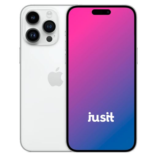 Apple iPhone 14 Pro Max 256GB Silber  - guter Zustand mit Ladekabel Lightning (Trade)