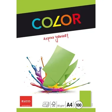 ELCO Office Color Papier A4 74616.62 80g, gr&uuml;n 100 Blatt