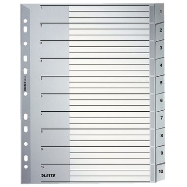 LEITZ Register PP A4 12800000 1-10 grau