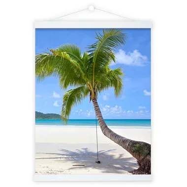 DEBEX Posterleisten 71x2cm LWMG 71 weiss, magnetisch