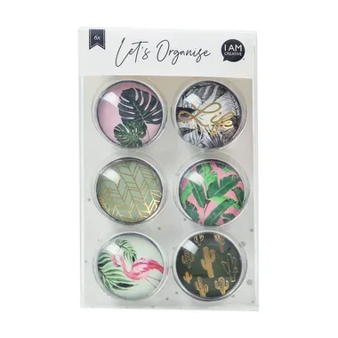 I AM CREATIVE Magnet Natur Let`s Organize MAA4035.61 Glas, 3x1cm 6 St&uuml;ck