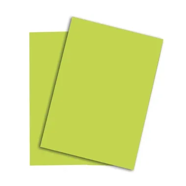 PAPYRUS Rainbow Papier FSC A4 88043110 leuchtend gr&uuml;n, 120g 250 Blatt