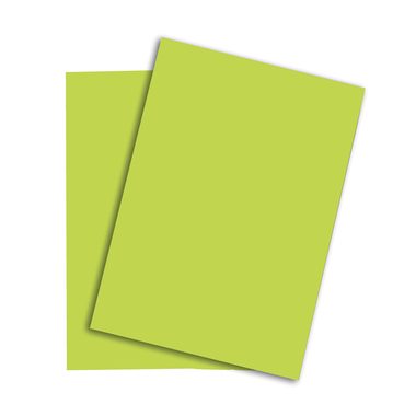 PAPYRUS Rainbow Papier FSC A4 88043138 leuchtend gr&uuml;n, 160g 250 Blatt