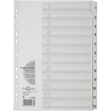 PAGNA Register Karton weiss A4 31005-08 12-teilig, 1-12