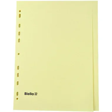 BIELLA Register Karton braun A4 19542400 24-teilig