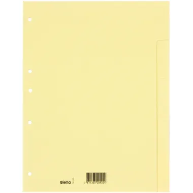 BIELLA Register Karton hellbraun A4 196405.00 5-teilig, blanko, 4 Loch