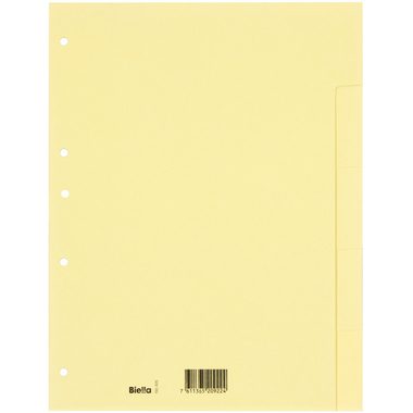 BIELLA Register Karton hellbraun A4 196405.00 5-teilig, blanko, 4 Loch