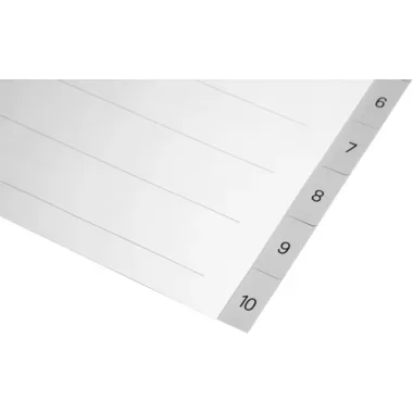 BIELLA Register PP grau A4 471410.00 1-10, Vollformat