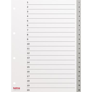 KOLMA Register Longlife A4 19.120.03 grau, 20-teilig