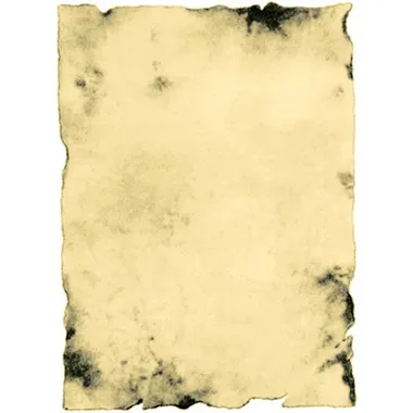 EROLA Antikpapier A4 1850/10 170g 10 St&uuml;ck