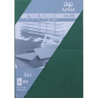 ARTOZ Karten 1001 B6 107362263 220g, racing green 5 Blatt
