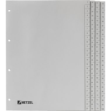 HETZEL Register PP grau A4 721311 1-100