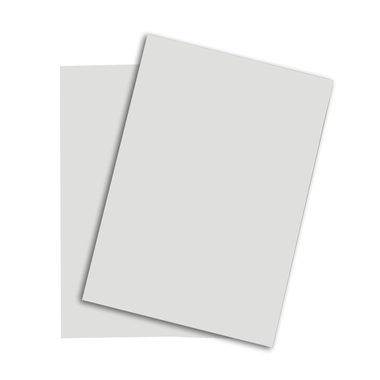 PAPYRUS Rainbow Papier FSC A4 88043118 hellgrau, 120g 250 Blatt
