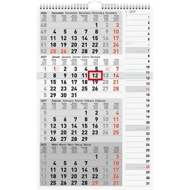 RIDOIDE 4-Monats-Kombiplaner 2027 7033430007.27 4M/1S 30x49cm