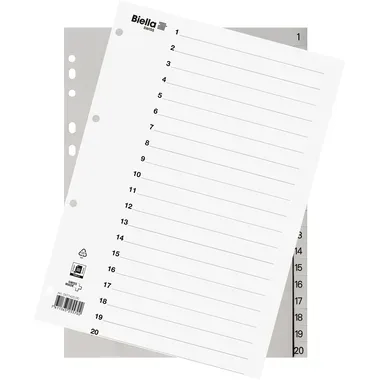 BIELLA Register PP grau A4 47142000 20-teilig blanko