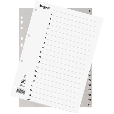 BIELLA Register PP grau A4 47142000 20-teilig blanko