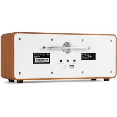 AUDIZIO Digitalradio (DAB+) 