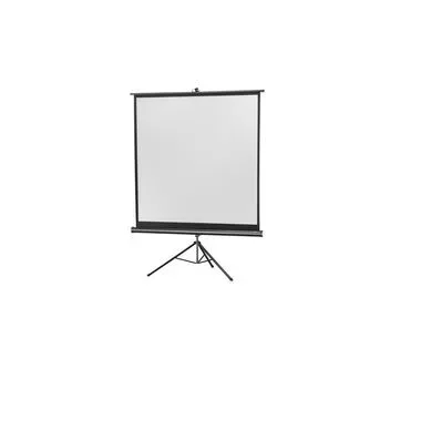celexon Stativleinwand Economy 244 x 244 cm