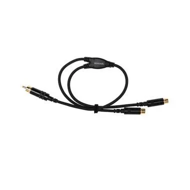 Cordial Audio-Kabel CFY 0.3 CEE Cinch - Cinch 0.3 m