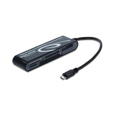 Delock Card Reader Extern 91732 All in 1 MicroUSB