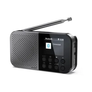 Sharp Digitalradio (DAB+) 