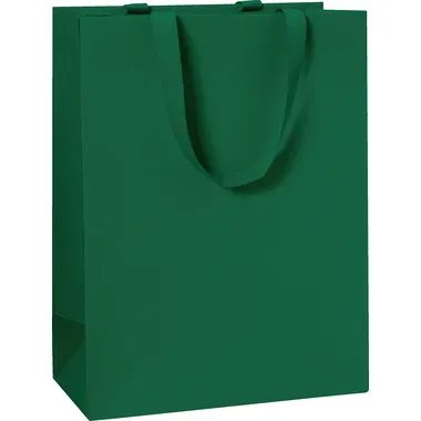 STEWO Geschenktasche One Colour 2544782696 grün dunkel 23x13x30 cm