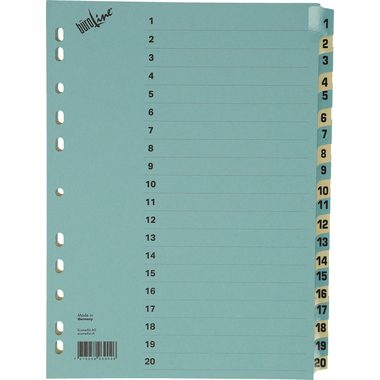 B&Uuml;ROLINE Kartonregister blau/beige A4 40552 1-20