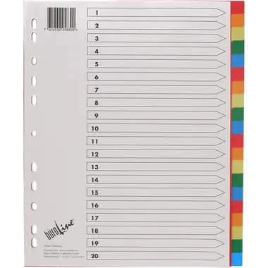 B&Uuml;ROLINE Register PP bunt A4+ 40992 20tlg. &uuml;berbreit