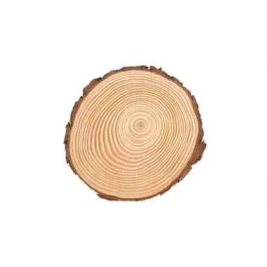 GLOREX Holzscheibe 15x1.5cm 67026751