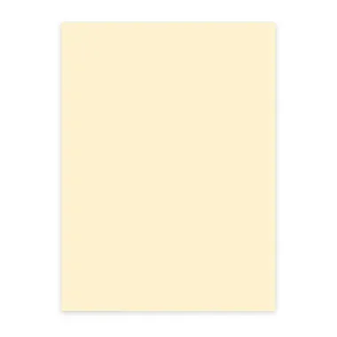 ELCO B&uuml;ropapier Color A4 74616.71 80g, hellchamois 100 Blatt