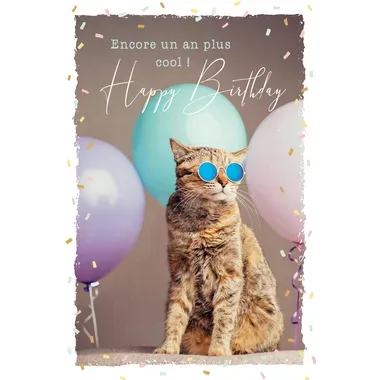 ABC Geburtstagskarte FR B6 53066 Sunny Cat
