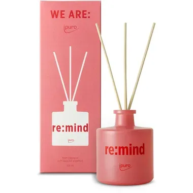 IPURO Raumduft 100ml 030.1002.10 re:mind