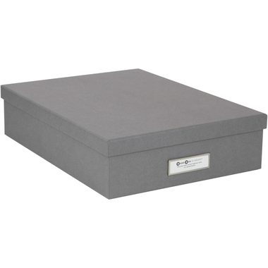 BIGSO BOX OF SWEDEN Aufbewahrungsbox Oskar 945154141 grau 26x35x8.5cm