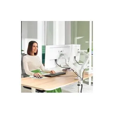 LEITZ Monitorarm Ergo 6537-00-85 Grau, dual