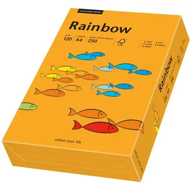 RAINBOW Papier orange/24 A4 88042436 FSC, 120g 250 Blatt