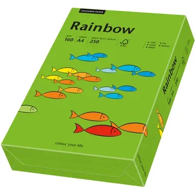 RAINBOW Papier intensivgrün/78 A4 88042681 FSC, 160g 250 Blatt