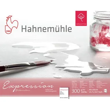 HAHNEMÜHLE Aquarellbl. Expression 40x50cm 10628668 weiss, 300g 20 Blatt