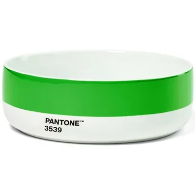 PANTONE Schale 500ml 101623539 green
