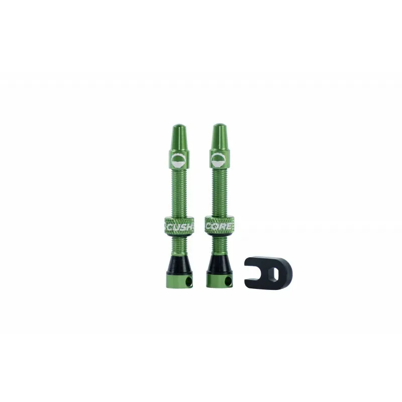 Paar Tubeless-Ventile CushCore