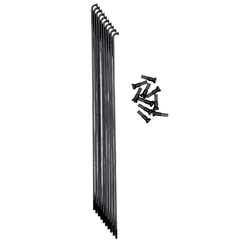 Strahlen Pride Racing Hexagon Double Butted (x10)