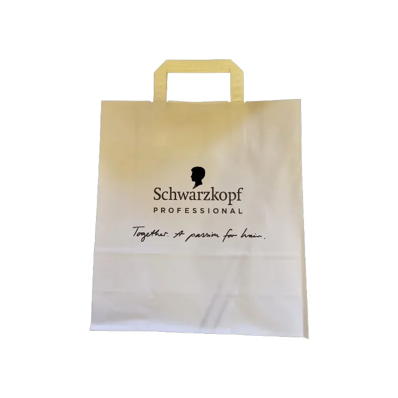 Schwarzkopf Papiertragtasche  ECO 28 x 31 cm 50 Stk.