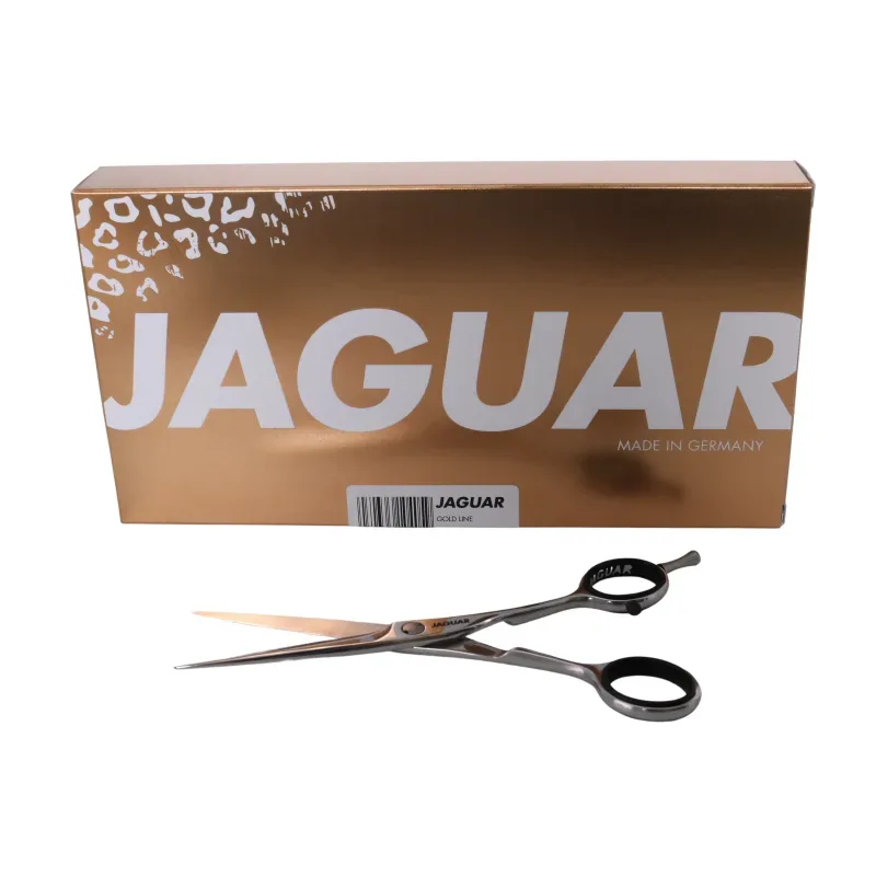 Jaguar HS 5.75