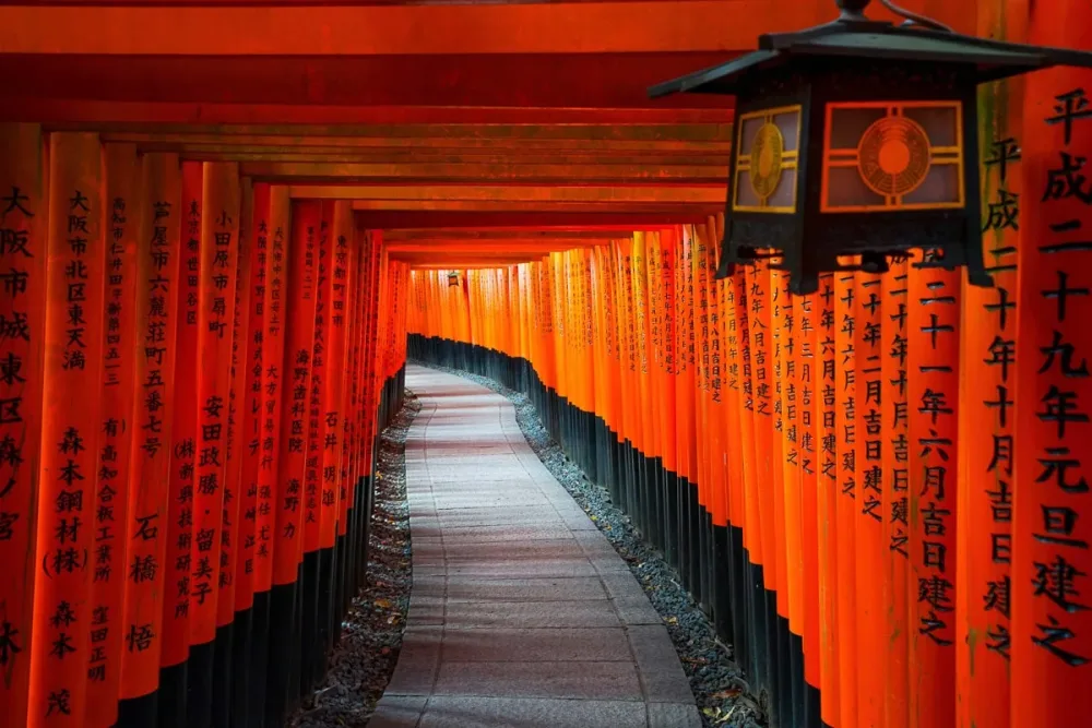 Papermoon Fototapete 