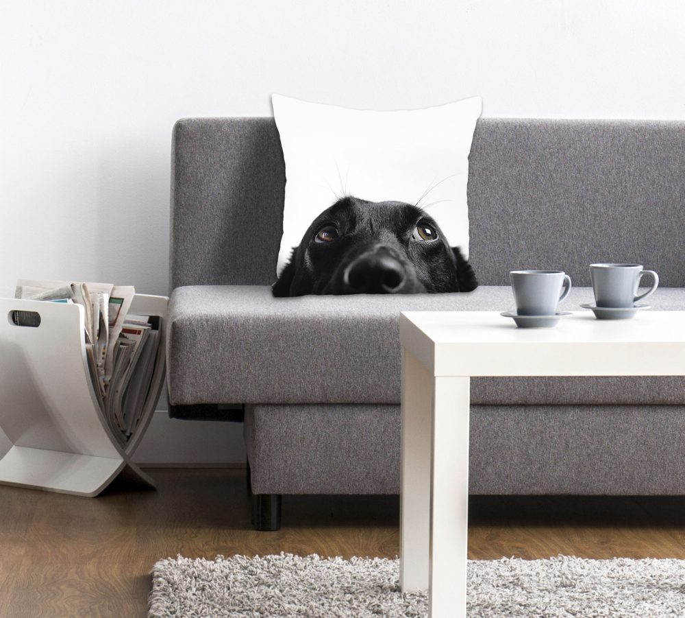 queence Dekokissen »Labby«, (1 St.), mit einem neugierigen Labrador